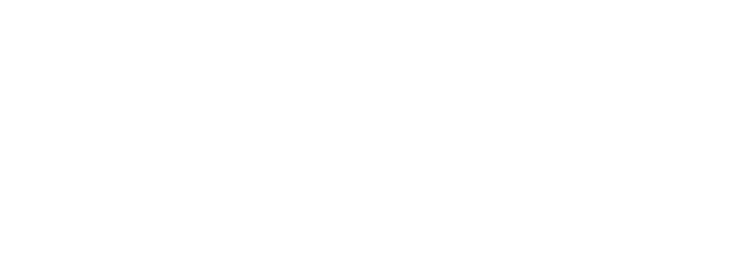odin_logo